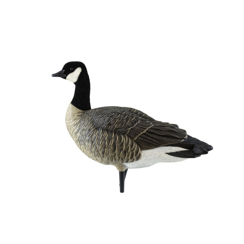 Avian-X AXF Outfitter Lesser Canada Fully Flocked Goose Decoys - 12 Pack